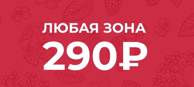Любая зога 290 рублей при наличии клубной карты