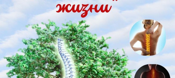 Открыт набор на курс 