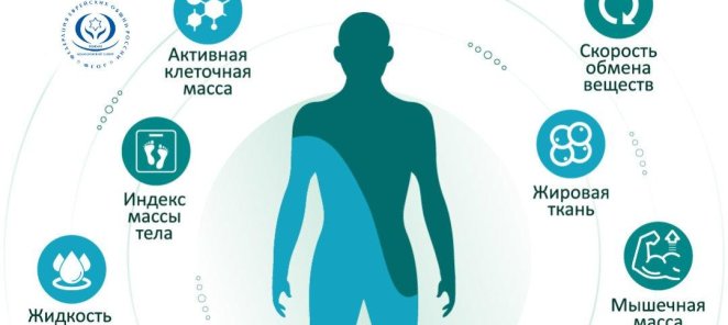 Приём врача и биоимпедансометрия за 2650 руб.