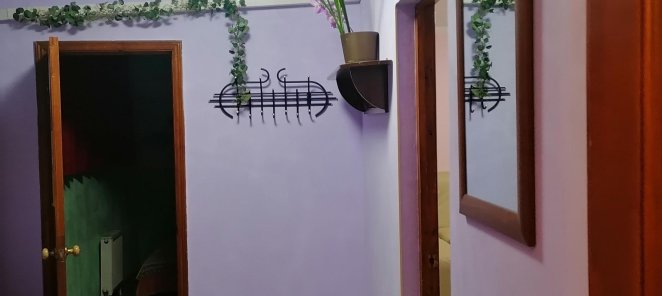 Специальная цена