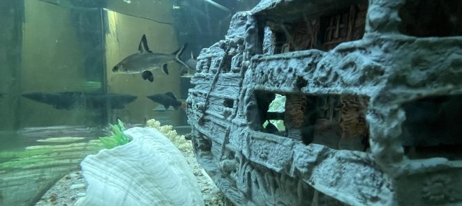 Отдыхай больше и получай час в ПОДАРОК!