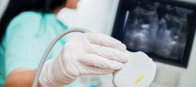 УЗИ брюшной полости с почкам + консультация