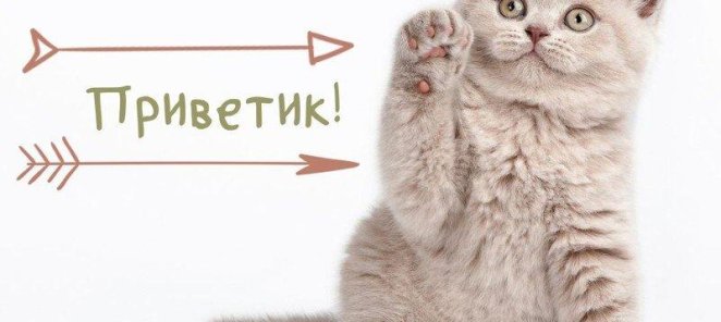 Акция! Бонусы за друзей!