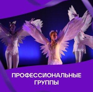 Профессиональные группы