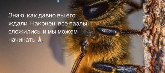 Приглашаем на курс 