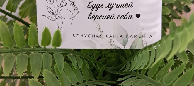 Программа лояльности