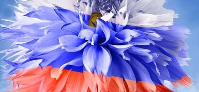 Система скидок для участников СВО и их семей