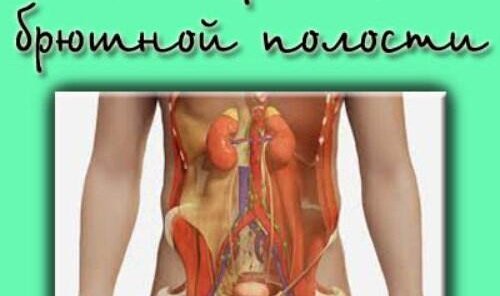 УЗИ органов брюшной полости