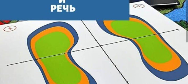 СОЦИАЛЬНАЯ ПОЛИТИКА СТУДИИ