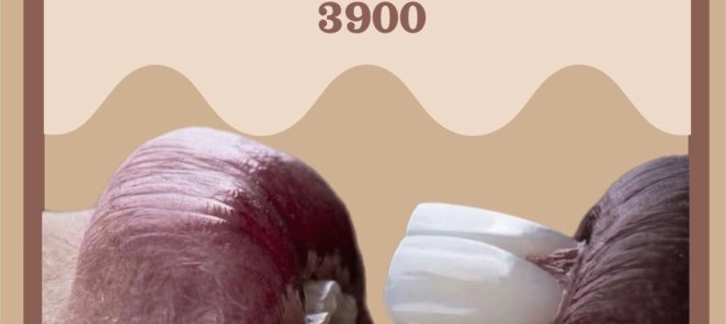 Профессиональная гигиена 3900 рублей