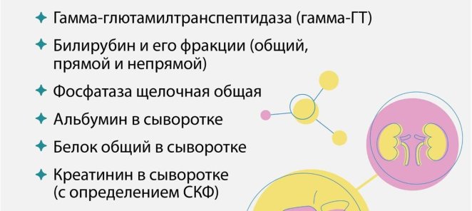 Анализы со скидкой 30% «Скрининг функции печени и почек»