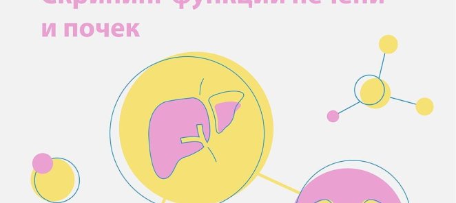 Комплекс анализов «Скрининг функции печени и почек»