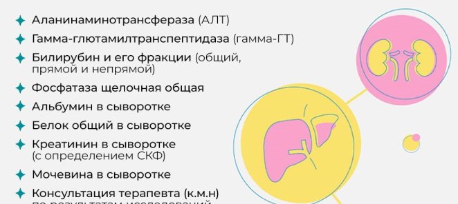 Чекап «Скрининг функции печени и почек»