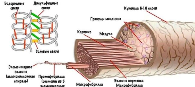 Жара и завиток (часть 1)