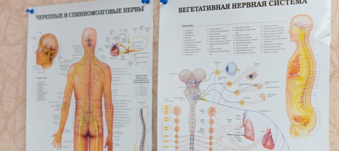 Никаких дополнительных платежей