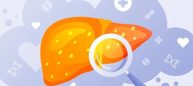 Обследование печени - 15%