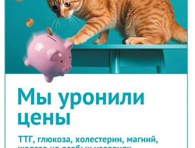 «У нас упал уровень цен»