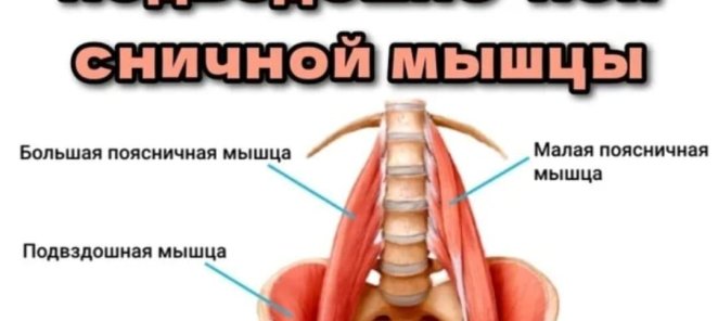 МИНА ЗАМЕДЛЕННОГО ДЕЙСТВИЯ