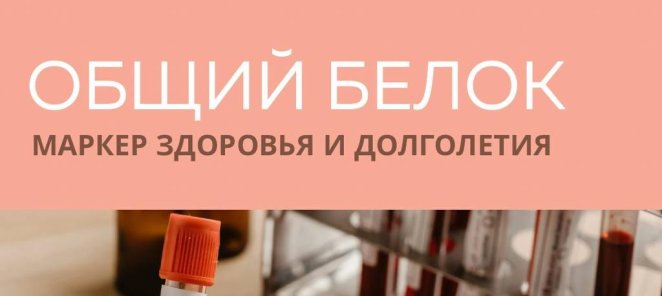 🧬 Общий белок: маркер здоровья и долголетия