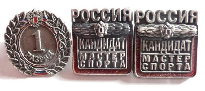Кандидат в мастера спорта скидка 20% на посещение зала