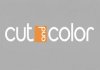 Cut and Color (Кат энд Калор) на Новодевичьем