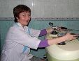 Колесникова Лия