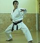 Землянников Владимир Александрович