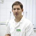 Лебедев Родион Лебедев