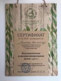 Колесина Анастасия