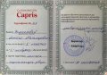 Исмаилова Аниса Магамедовна