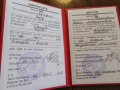 Карашвили Бела Лаврентовна