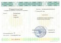 Колесничеснко/Буханцева Ксения Андреевна