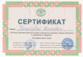 Косаченко Натаван
