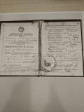 Мельникова Вера