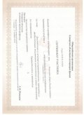 Киселева Дарья Владиславовна