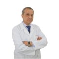 Горенков Андрей Иванович