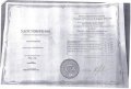 Иванова Вероника Евгеньевна