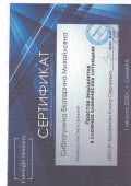 Сибгатулина Екатерина Михайловна