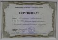 Косулина Анастасия