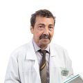 Бернштейн Владимир Ефимович
