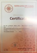 Панов Антон Игоревич