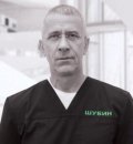 Шубин Дмитрий Николаевич