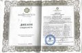 Маммедова (Гаджиева) Айгюль Сахибовна