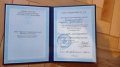 Каварнукаева Мадина