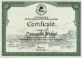 Романов Сергей Александрович