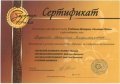 Баденова Светлана Владимировна