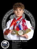 Мирзоев Алик Гамидович