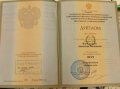 Щербина Анастасия Васильевна