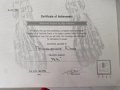 Просвиркина Юлия Анатольевна