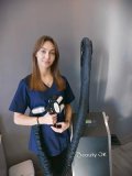 Садчикова Анита Игоревна